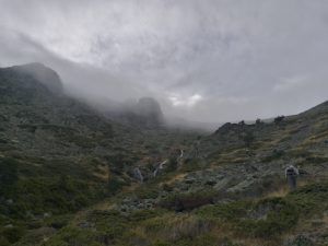 Cabezas de hierro 1