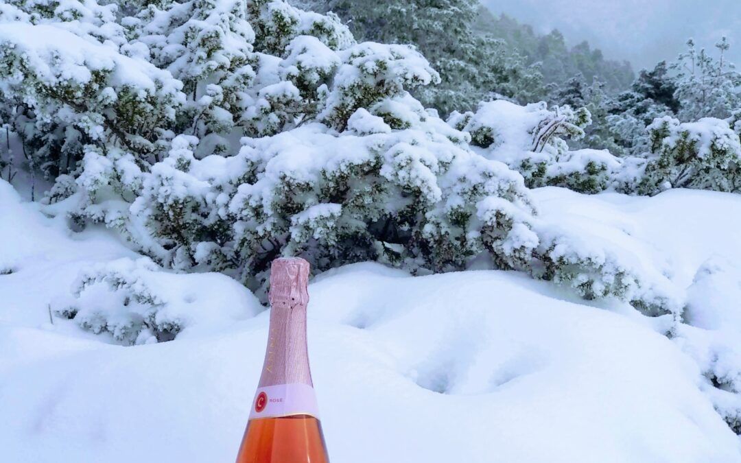 Brindis en La Maliciosa