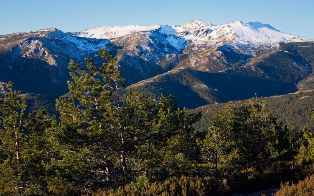 RIOFRÍO – SIERRA DE AYLLÓN