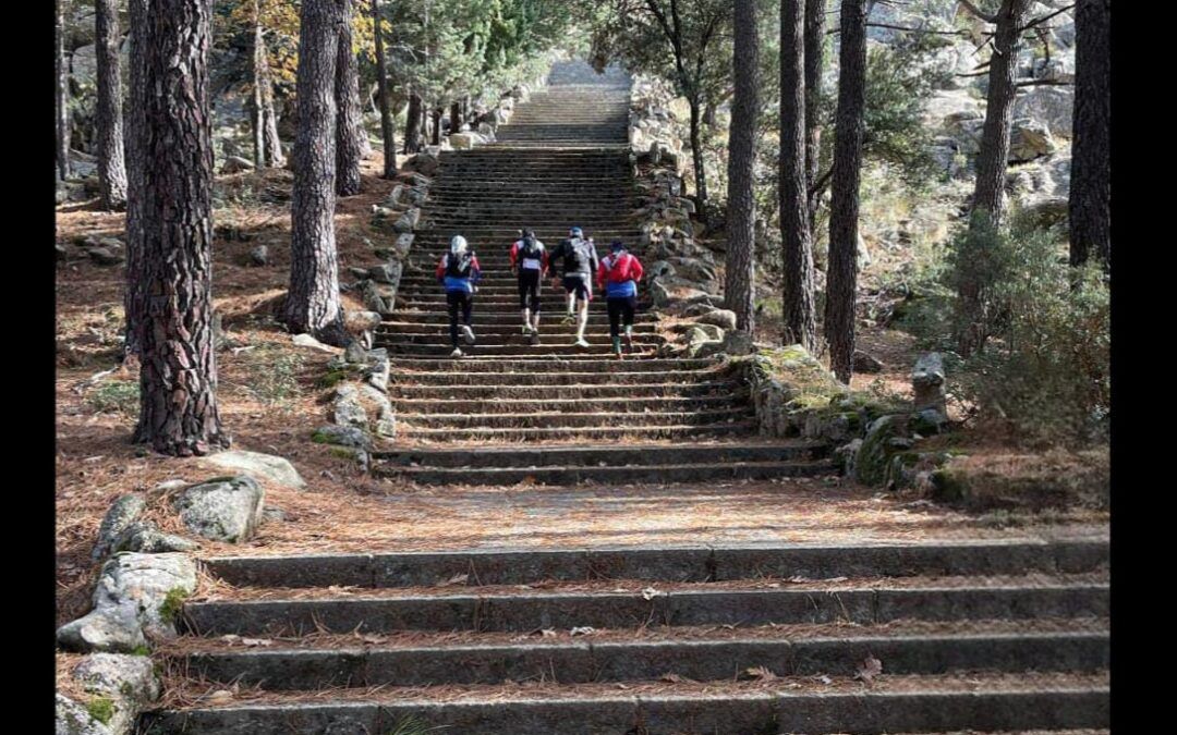 Entre carámbanos y escaleras