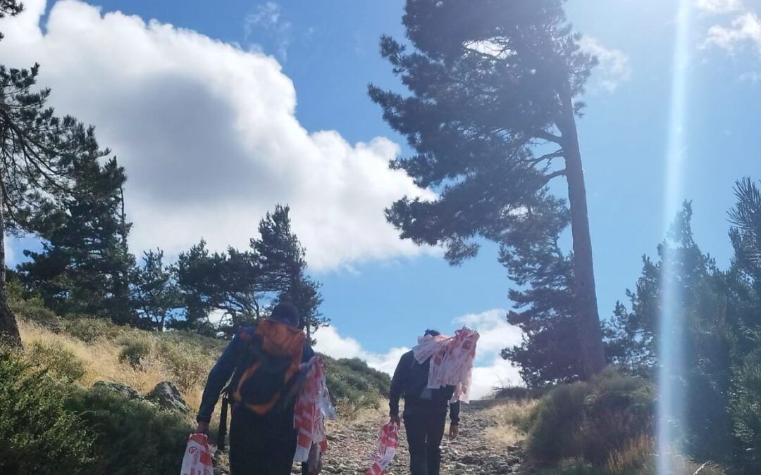 BALIZAJE CARRERA DE LAS DEHESAS